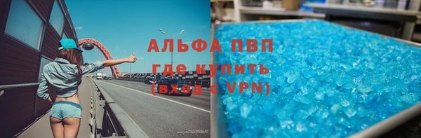 шишки Саяногорск