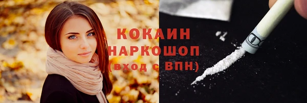 МДПВ Абаза