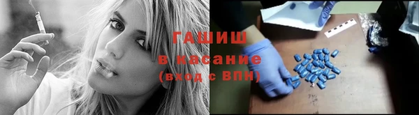 стаф Алзамай