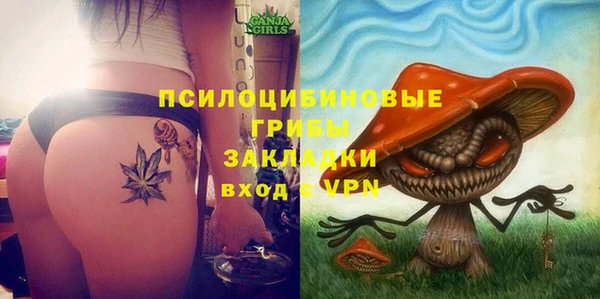 МДПВ Абаза