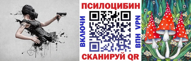 Псилоцибиновые грибы Magic Shrooms Каменногорск